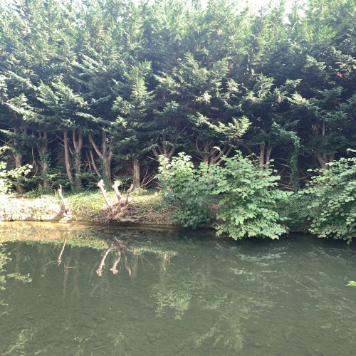 Le jardin