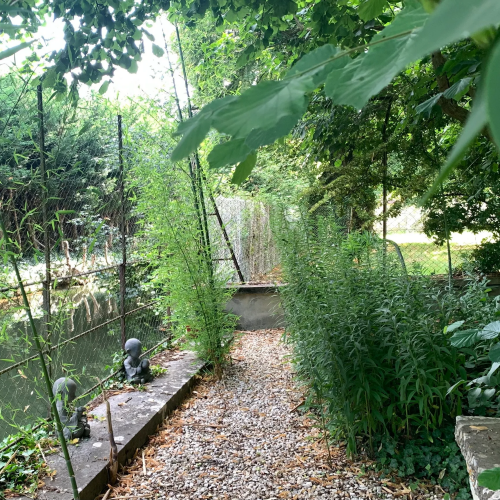 Le jardin